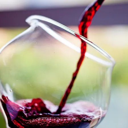 格洛斯楚普公园酒店 4*